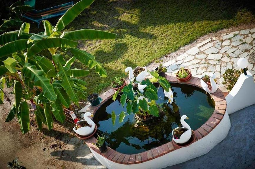 Case Vacanze Giardino Parghelia Buitenkant foto